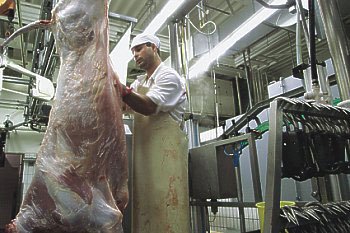 Meat industry